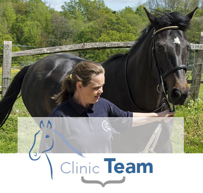 Meet the team at John Dunsford Equine Clinic in Midhurst, West Sussex